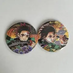 鬼滅の刃 冨岡義勇 幼少期と成年期 缶バッジ 2種セット - メルカリ