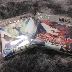 金 銀 パッケージTシャツinポーチ ポケットモンスター 30周年 L