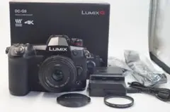 美品 Panasonic LUMIX DC-G9 , 20mm f1.7 - メルカリ