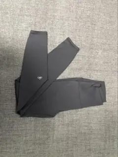 Alo yoga Sサイズ 高弾性ヨガレギンス Toyanama Gray