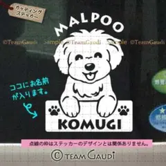 マルプー マルチーズ　名前入 カッティング　ステッカー ドッグインカー　シール