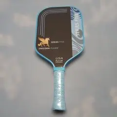 Wilson FIERCE TEAM ピックルボール パドル 青 新品 - メルカリ