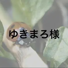 【ゆきまろ様】確認お願いします