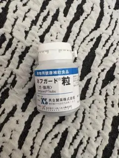 Item thumbnail for item e73f3bab-dbb4-451c-a169-db75b2d8e84d