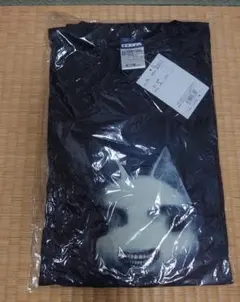 Item thumbnail for item da158d4d-8f3d-4bb0-a107-bfed7ded7c67