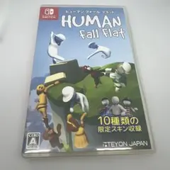 スイッチソフト　ヒューマン フォール フラット