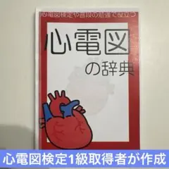 心電図波形解説集｜約100項目｜心電図検定対策に最適