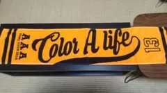 AAA DOME TOUR 2018 Color A life タオル