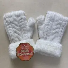 Item thumbnail for item 9d81fb1f-989c-4351-8a07-91a944328055