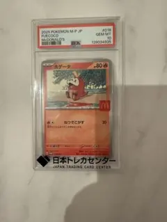 2026年最新】ホゲータ s psa10の人気アイテム - メルカリ