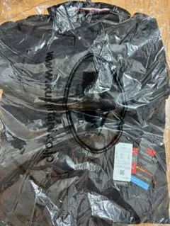 Item thumbnail for item d0fd0243-7fb1-42ae-b5ff-f8962024d4e0