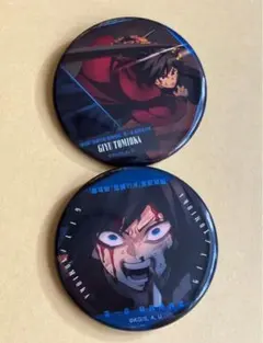 鬼滅の刃 ものがたる背中 コレクション 缶バッジ　A 冨岡義勇　2種まとめ売り