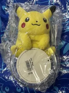 初代　ぬいぐるみ　ポケモンセンター　ピカチュウ 日本橋　初期　赤緑　2002 初代 ぬいぐるみ ポケモンセンター ピカチュウ 日本橋 初期 赤緑