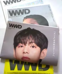 WWD JAPAN Vol.2444 BTS V テテ