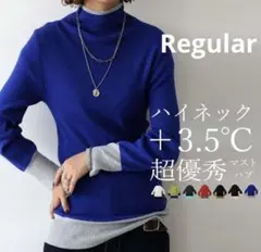 アンティカ ヒートリブインナー