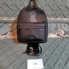 Item thumbnail for item f9f47ad4-76a1-4a40-bef7-484bf1b46389