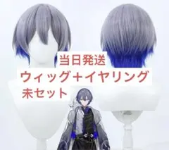 【当日発送】vtuber にじさんじ 小柳ロウ ろう 変身コスプレ ウィッグのサムネイル