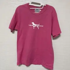 Labrador Retriever ピンク 半袖Tシャツのサムネイル