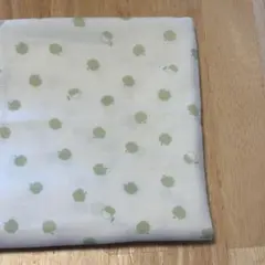 Wガーゼ生地 リンゴ柄 グリーン 80×70 新品未使用