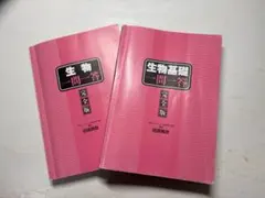 Item thumbnail for item bfa5775d-0d4a-49d1-afa5-bdd7c93b436d