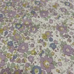 リバティタナローン オークション商品