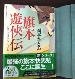 旗本遊俠伝