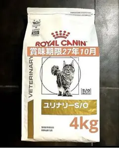 ロイヤルカナン猫用腎臓サポートドライ4キロ　賞味期限27年8月3日新品未開封品 ロイヤルカナン猫用腎臓サポートドライ4kg 賞味期限27年8月3日新品未
