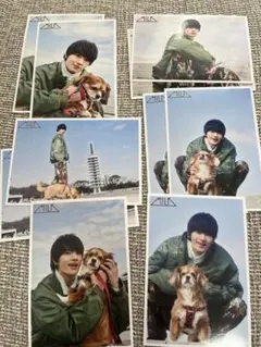 Item thumbnail for item 927925fd-caaf-4106-9070-760da0ed70ab