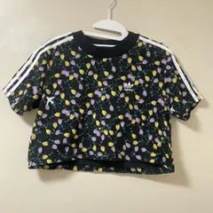 【adidas Originals】総柄プリント・クロップドTシャツ