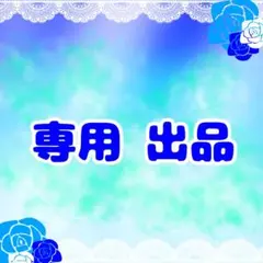 なるみ様専用