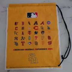 MLB American Baseball Experience 2025　袋のサムネイル