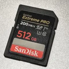 49 美品 SanDisk Extreme PRO 256GB SDカード 2枚 - メルカリ