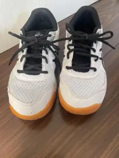 2026年最新】asics バレーボールシューズ オレンジの人気アイテム