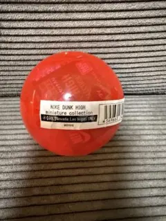 NIKE DUNK HIGH miniature collection