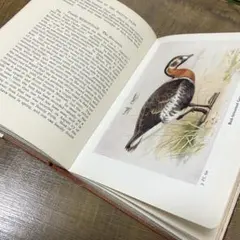 Item thumbnail for item 09ceef7f-85fa-4bd4-ad3a-266aa21593f3