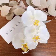 髪飾り　胡蝶蘭　3点セット　Uピン付き　バラ使用可能