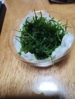 balu様 リクエスト 2点 まとめ商品