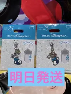 東京ディズニーシー25周年 ダッフィー　シェリーメイ　バックチャームセット