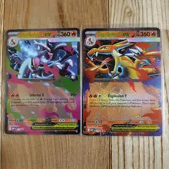 海外】メガリザードン ex X Y セット 英語版 プロモ ポケモンカード