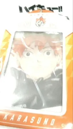 ハイキュー バースデイカードホルダー 日向