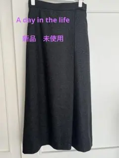 A day in the life タイトスカート