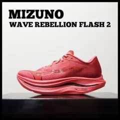 アシックス ランニングシューズ 25