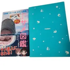 Item thumbnail for item 44552e56-2abc-4dca-8950-4a573201bdaf