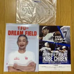 高校野球女子選抜VS KOBE CHIBEN イチロー クリアファイル&パンフ