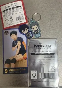ハイキュー展　アクリルチャーム　チケット風カード　影山飛雄　田中龍之介　3点