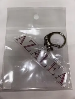 Item thumbnail for item 12d05ba8-aa38-4e71-a648-5f253a520346