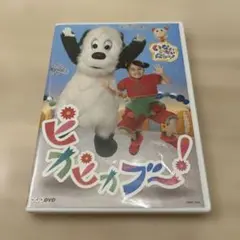 ピカピカブー！　いないいないばぁっ！　DVD