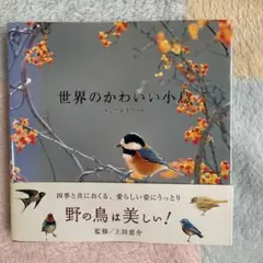 Item thumbnail for item 0b0981e0-8e67-4d0e-b459-aab595476651