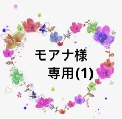 モアナ様専用(1)11点商品