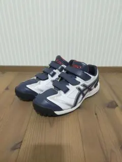 Item thumbnail for item db44a500-c72a-477a-9c2b-fb052f94f008